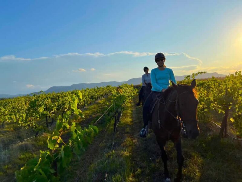 Hunter Valley: Sunset Horse Riding Tour 90min - Itinerary Breakdown and Highlights