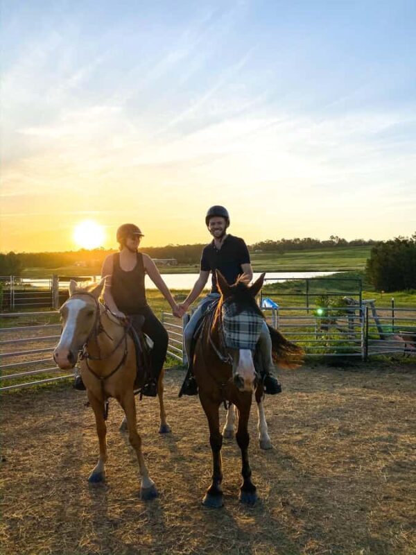 Hunter Valley: Sunset Horse Riding Tour 90min - Authenticity and Review Highlights