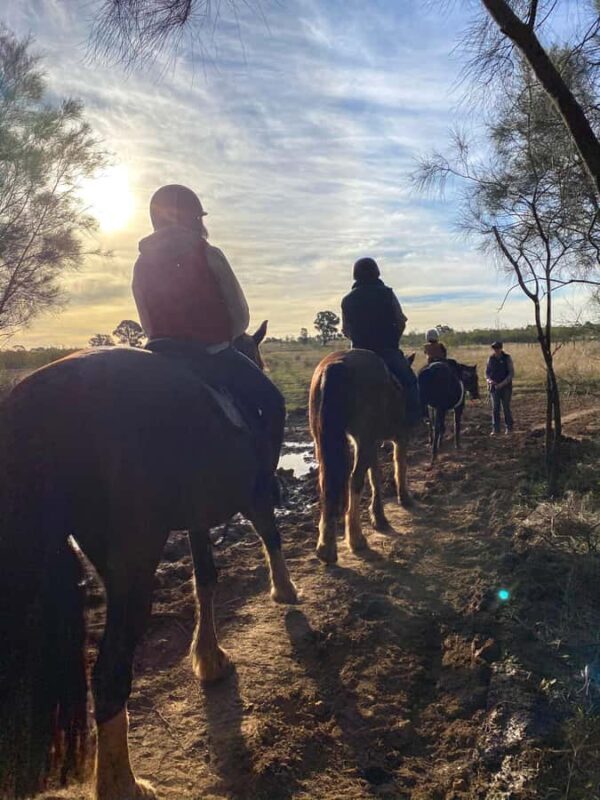 Hunter Valley: Sunset Horse Riding Tour 90min - Who Should Consider This Tour?