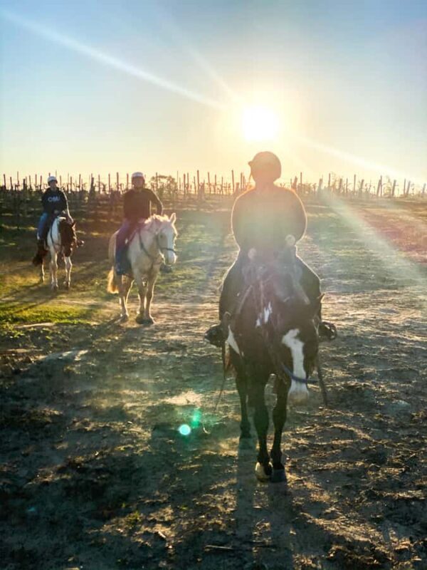 Hunter Valley: Sunset Horse Riding Tour 90min - The Final Word: Is It Worth It?