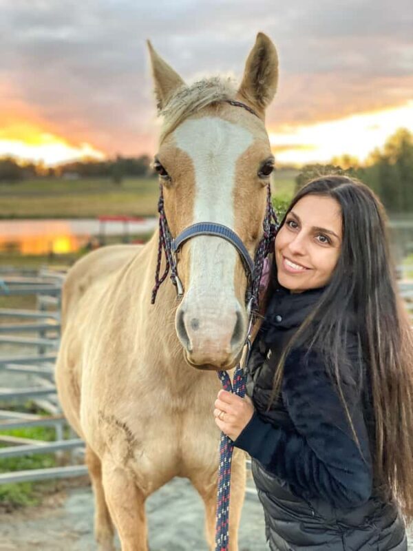 Hunter Valley: Sunset Horse Riding Tour 90min - FAQs About the Hunter Valley Sunset Horse Riding Tour