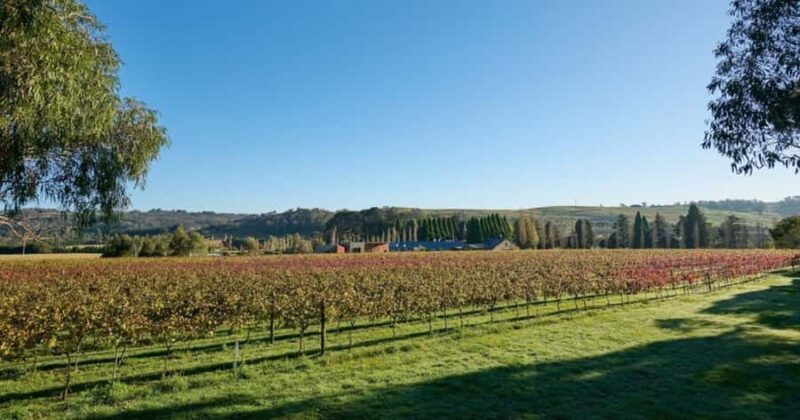 Hunter Valley Tour + Hop-on-Hop-off Big Bus Discover Ticket - FAQ