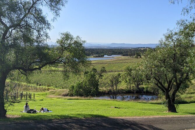 Hunter Valley wine and cheese starting from the Hunter region - The Sum Up