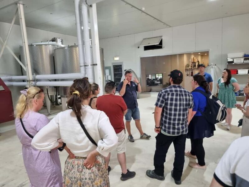 Hunter Valley: Wine, Gin, Cheese and Chocolate Tour - Authentic Experiences and Guest Feedback