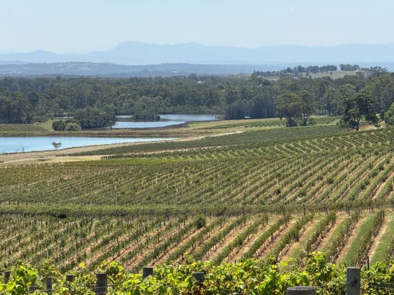 Hunter Valley Wine Tasting | Private Day Tour | From Sydney - An Introduction to the Experience