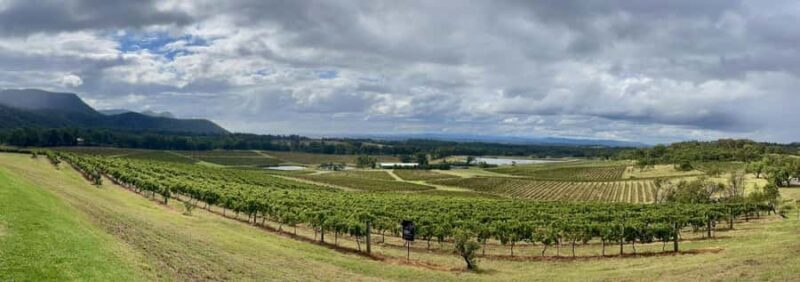 Hunter Valley Wine Tasting | Private Day Tour | From Sydney - Final Thoughts