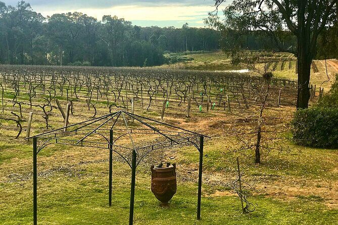 Hunter Valley Wine Tour from Sydney: 3 Wineries & Vineyard Picnic - The Sum Up