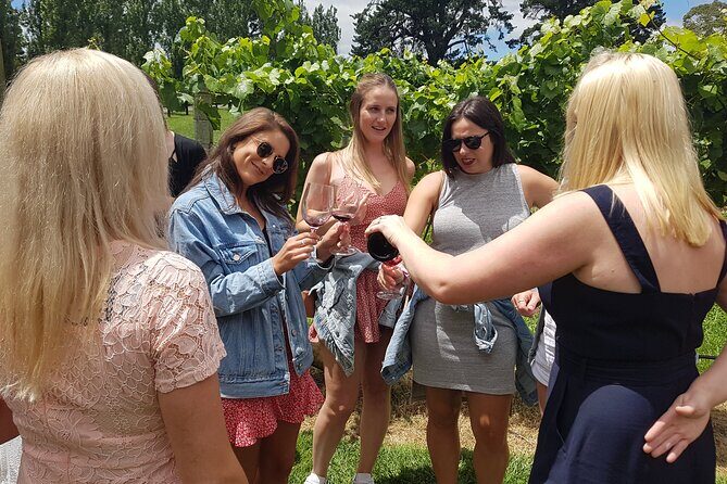 Hunter Valley Wine Tour + Lunch, Gin, Cheese, Choc from Newcastle - Exploring the Hunter Valley with Daves Tours: A Deep Dive