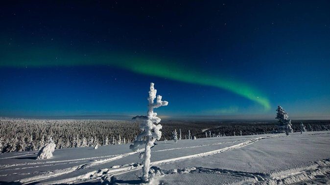 Hunting Northern Lights with Husky - Why the Price Reflects Value