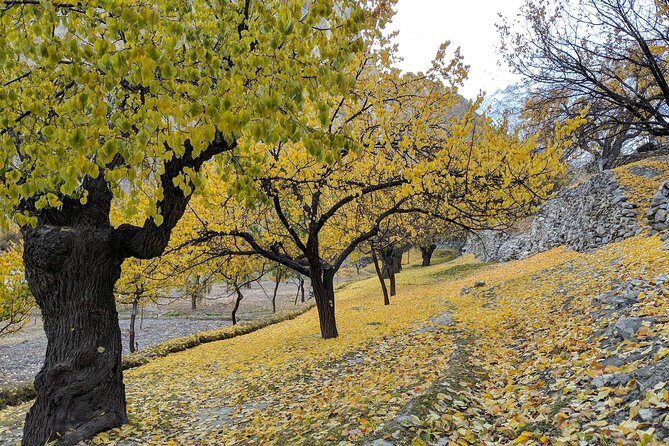 Hunza Autumn Tour - Day 1: Arrival in Islamabad