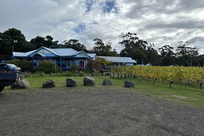 Huon Valley Wine and Cider Tour - Hobart and SE Tasmania - Authentic Experiences and Feedback