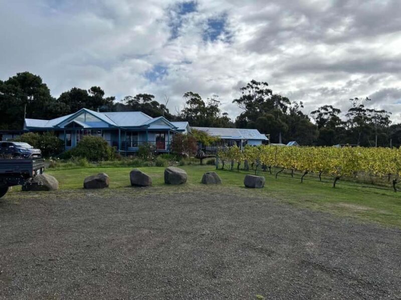 Huon Valley Wine & Cider Tour - Hobart & SE Tasmania - An In-Depth Look at the Huon Valley Wine & Cider Tour