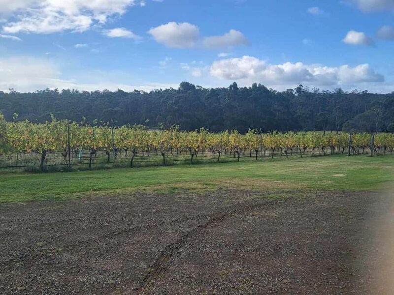 Huon Valley Wine & Cider Tour - Hobart & SE Tasmania - Who Should Consider This Tour?