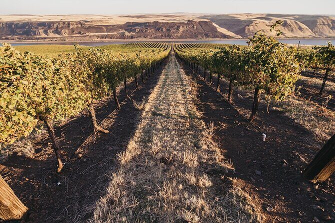 Hurray for Hollywood, Woodinville Winery Pass - Key Points