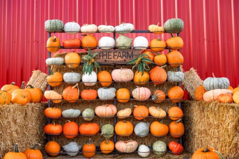 Hurricane, Utah: Guided Farm Tour with Animal Feeding - An In-Depth Look at the Guided Farm Tour