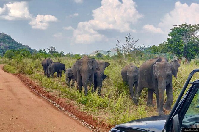 Hurulu Eco Park Private Safari - FAQ