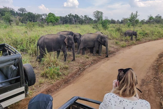 Hurulu Eco Park Private Safari with Naturalist - What to Expect and What Not to Expect