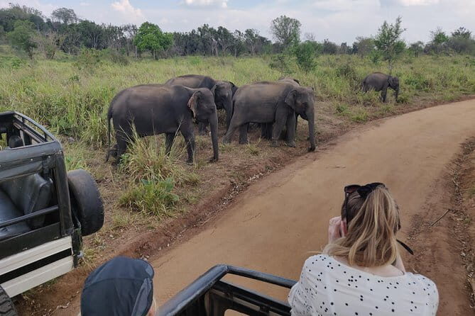Hurulu Eco Park Safari - Hurulu Eco Park Safari Review