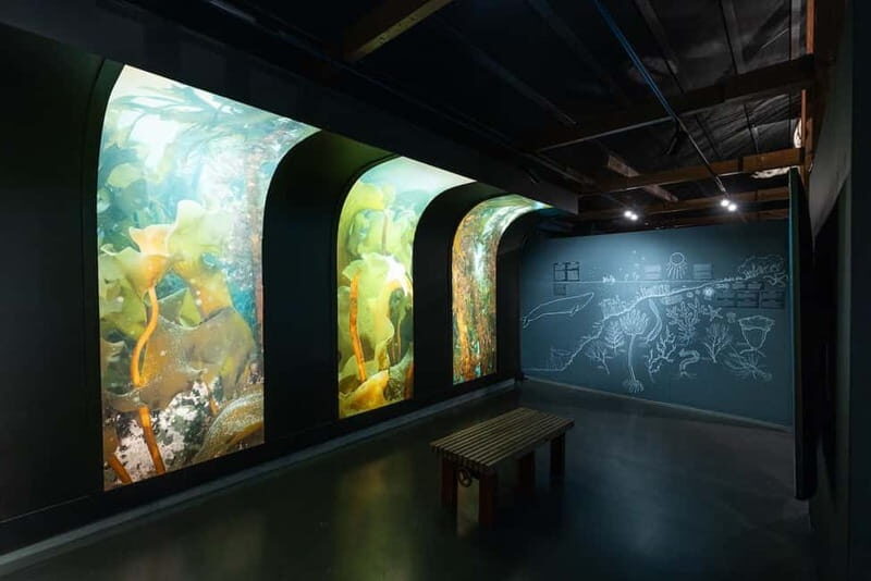 Húsavík: Whale Museum Entry Ticket - Who Should Book This Tour?