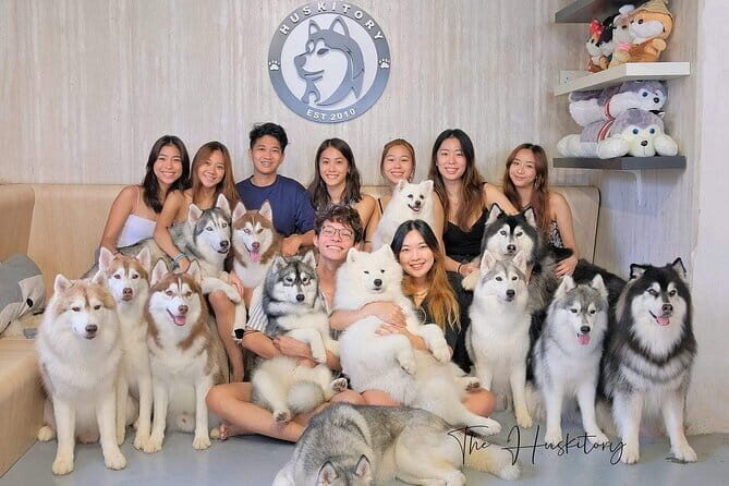 Huskitory Connecting People and Dogs - Who Will Love Huskitory?