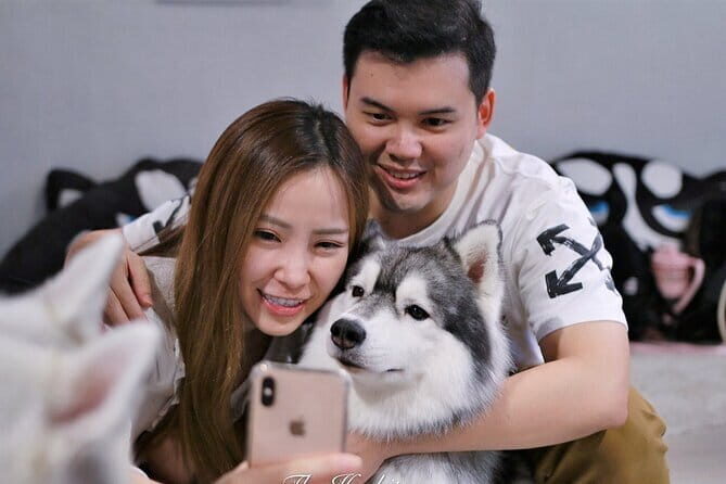 Huskitory Connecting People and Dogs - Why This Experience Is Worth Considering