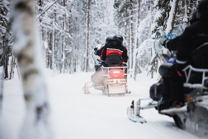 Husky and Reindeer Experience With Snowmobiling - Husky and Reindeer Experience With Snowmobiling: An In-Depth Review
