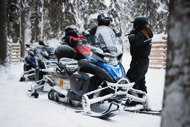 Husky and Reindeer Experience With Snowmobiling - Who Will Love This Tour?