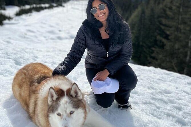 Husky Hikes Private Mountain Tours - Authentic Reviews and What They Tell Us