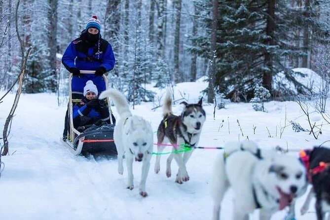 Husky safari - What to Expect During Your Tour