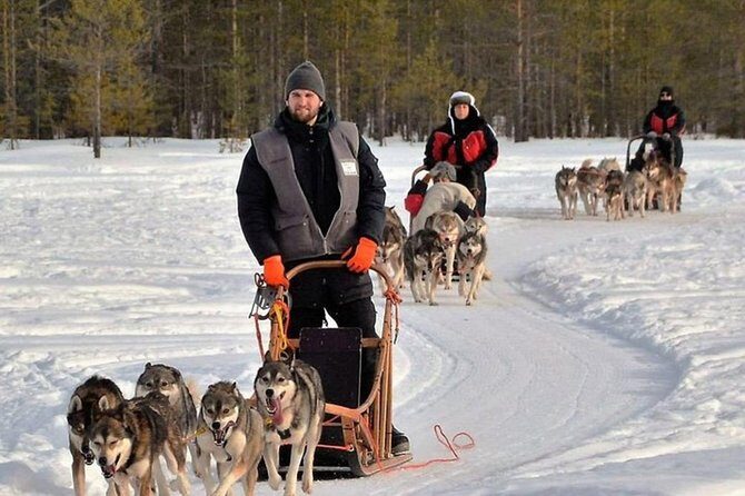 Husky Safari from Levi 2 KM or 5 KM with Husky Sledge Ride - Authentic Encounters and Expert Guides