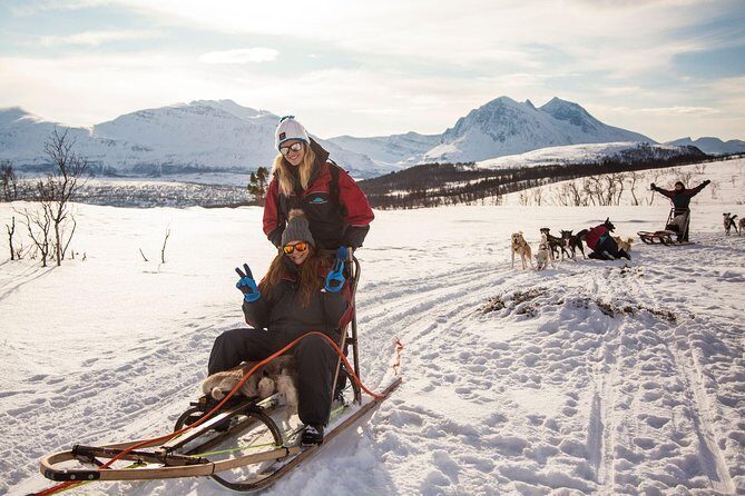 Husky Sledding Self-Drive Adventure in Tromso - The Intangible Magic: Why This Tour Stands Out