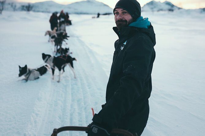 Husky Sledding Self-Drive Adventure in Tromso - Final Thoughts: Is It Worth It?