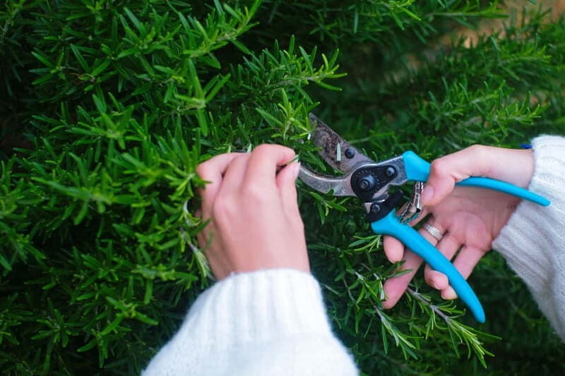 Hvar: Cooking Workshop with Locals & Farm-to-Table Meal - Why This Tour Stands Out