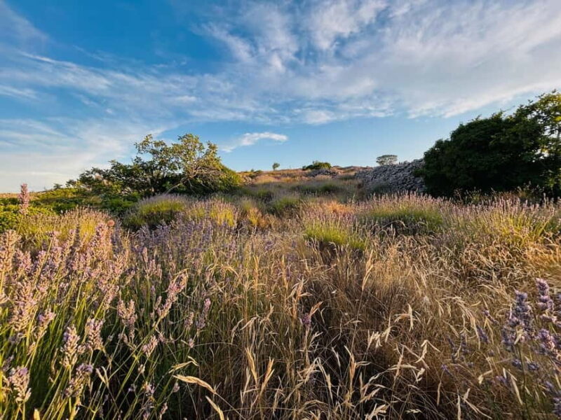 Hvar: Hidden Gems Tour - Authentic Experiences and What Travelers Say