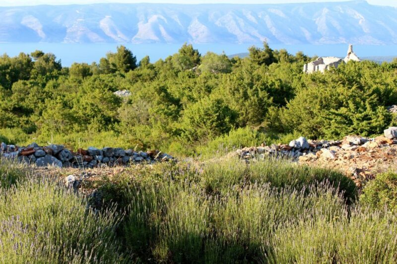 Hvar Hidden Gems Tour with Lunch or Dinner - Transportation, Group Size, and Overall Value