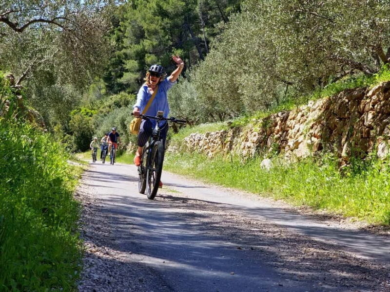 Hvar Island Self-Guided E-Bike Tour - The Overview: A Day on Hvar with Electric Bikes