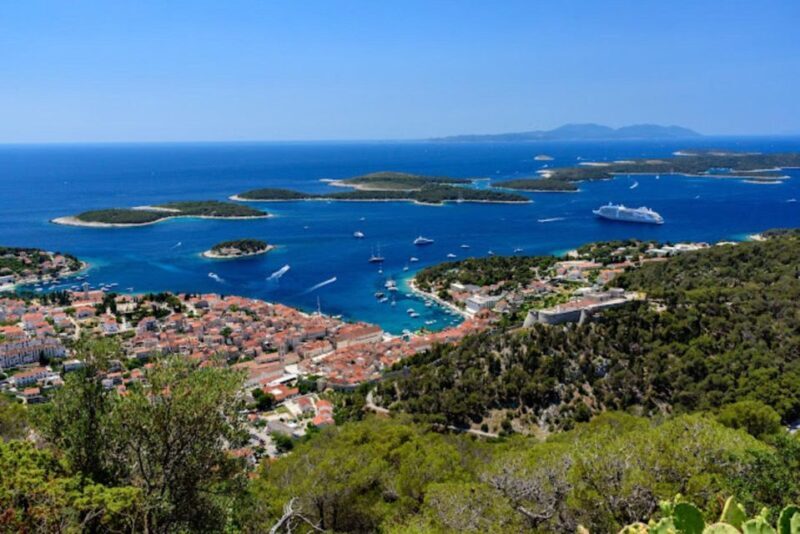 Hvar: Island tour with Wine and Olive Oil Tasting - The Sum Up