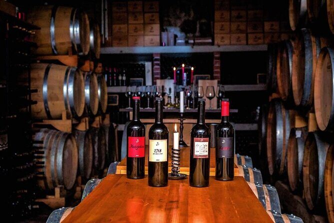 Hvar: Island tour with Wine and Olive Oil Tasting - Who Will Love This Tour?