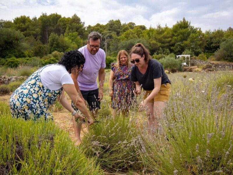Hvar: Lavender Fields, Honey, and Local Product Tasting - A Closer Look at the Tour Experience