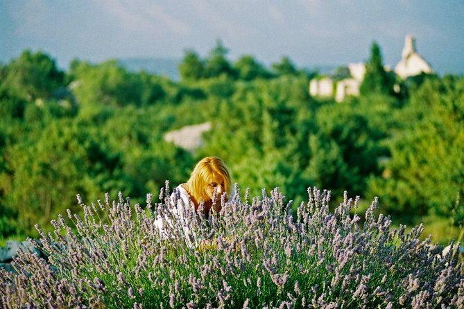 Hvar Lavender Small Group Tour - Included Highlights and Features