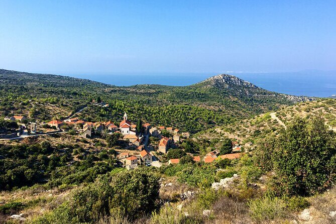 Hvar Lavender Tour - An Authentic Look at the Hvar Lavender Tour