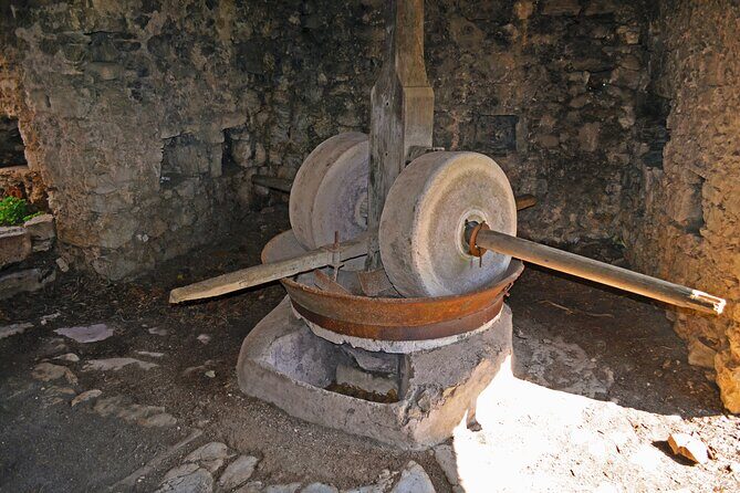 Hvar Lavender Tour - Why This Tour Is Worth It