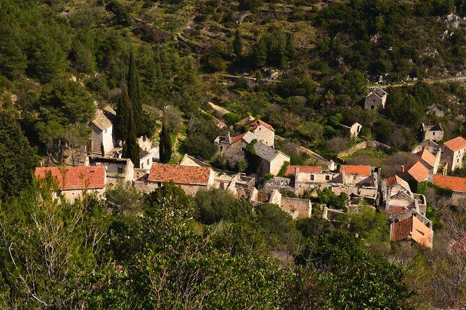 Hvar Lavender Tour - Who Should Consider This Tour?