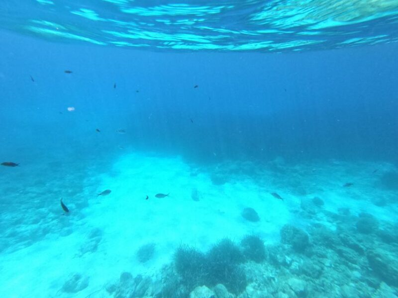 Hvar: Private Sailing Boat Trip with Swimming and Snorkeling - Who Will Enjoy This Experience?