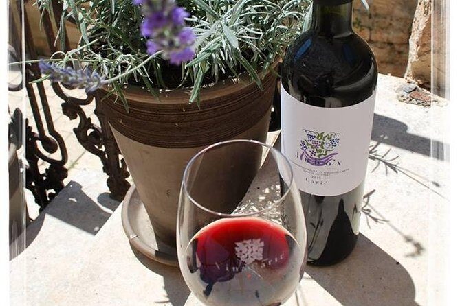 Hvar Small Group Wine Tour and Authentic Dalmatian Dinner - Who Will Love This Tour?