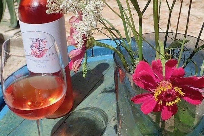 Hvar Wine tasting small group experience - An In-Depth Look at the Hvar Wine Tasting Tour