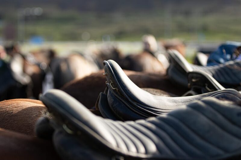 Hveragerdi: Countryside Charm Horse Riding Tour - Reviews and Authentic Insights from Past Travelers