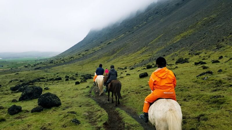 Hveragerdi: Reykjadalur (Hotspring Valley) Horse Riding Tour - An In-depth Look at the Reykjadalur Horse Riding Tour