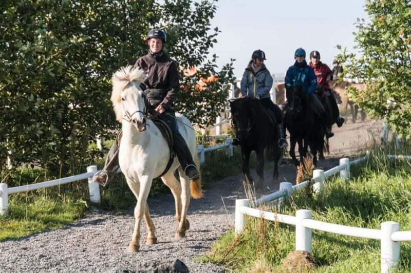 Hveragerdi: The Siggi Horse Riding Tour - Exploring the Experience in Detail