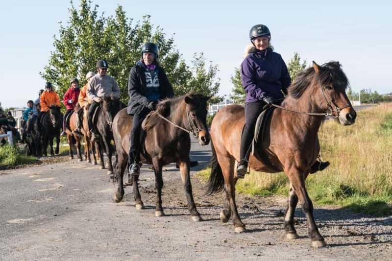 Hveragerdi: The Siggi Horse Riding Tour - What’s Included and Practical Details